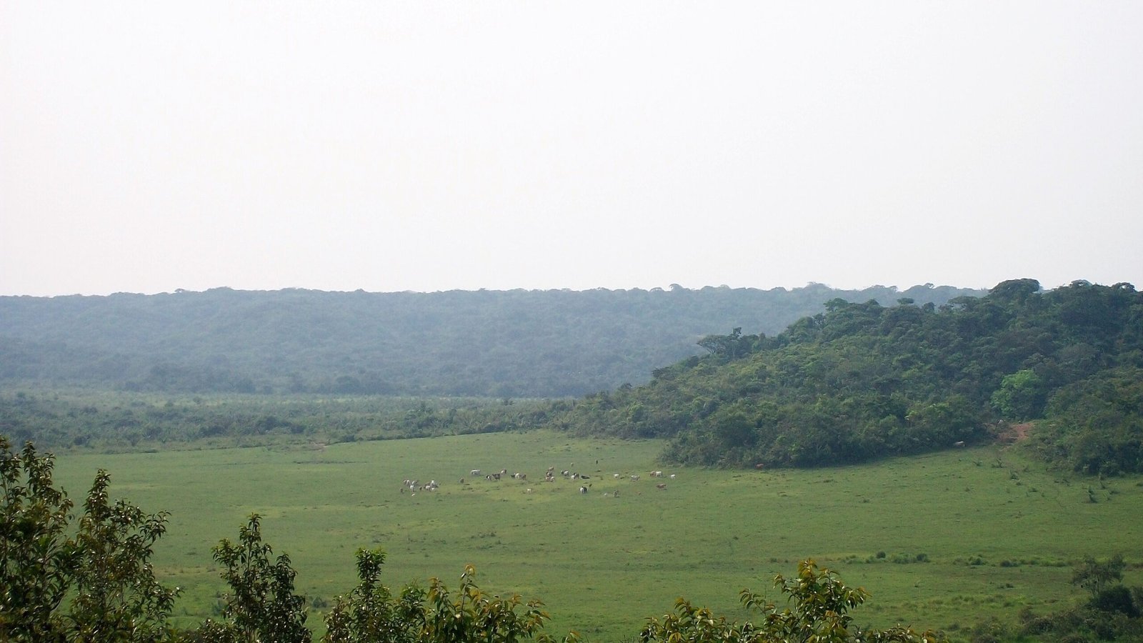 Reserva Natural Las Unamas