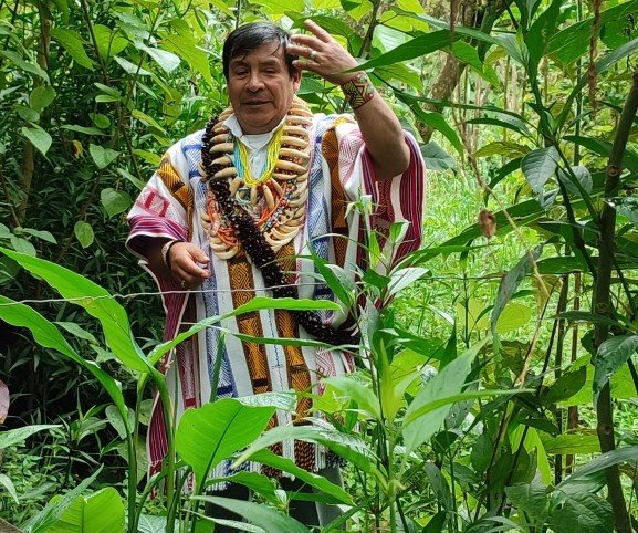Tatita Mutumbajoy - Puutmayo