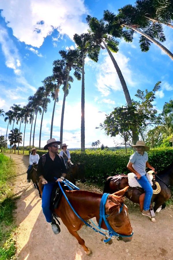 Cabalgata La María