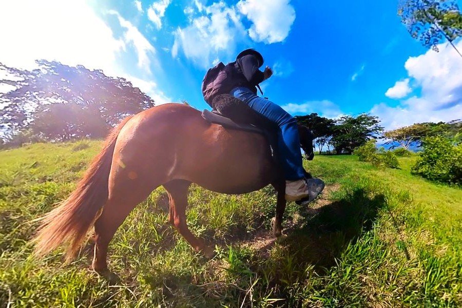 Cabalgata La María