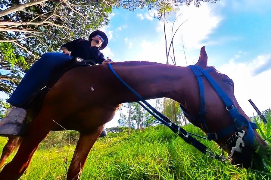 Cabalgata La María, Quindío