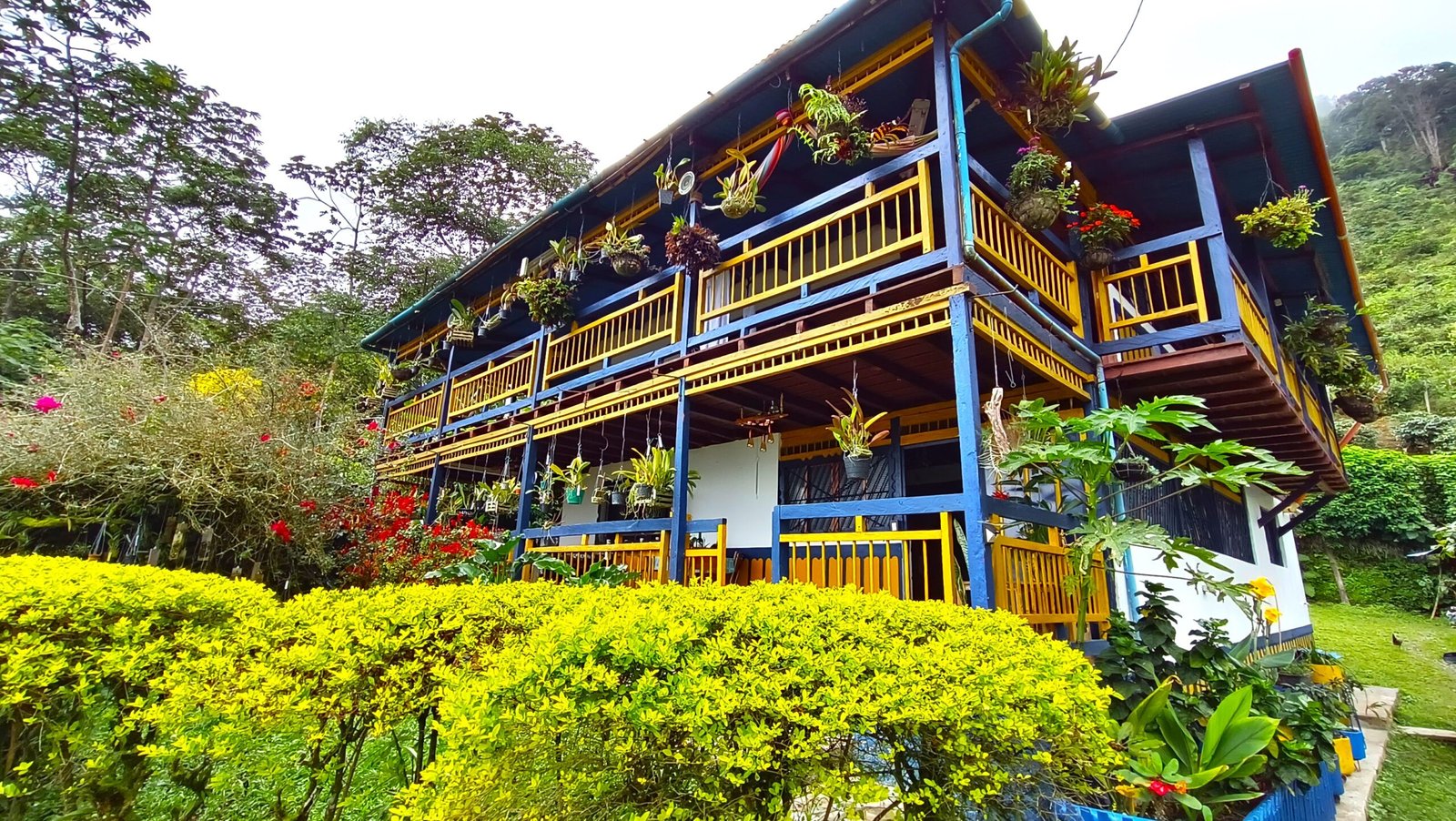 Moira Ecolodge