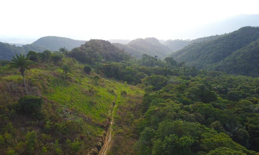 Piedemonte Amazónico, Florencia