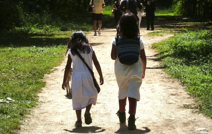 ¿Cuánto deberíamos caminar?