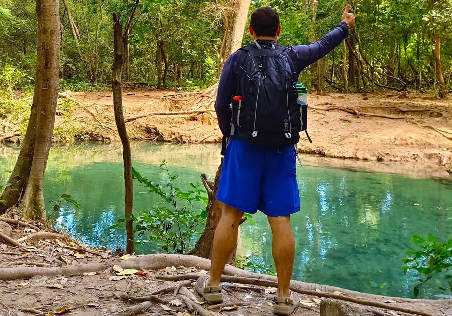 Beneficios de caminar por la naturaleza